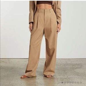 Everlane The Way-High Drape Pant
